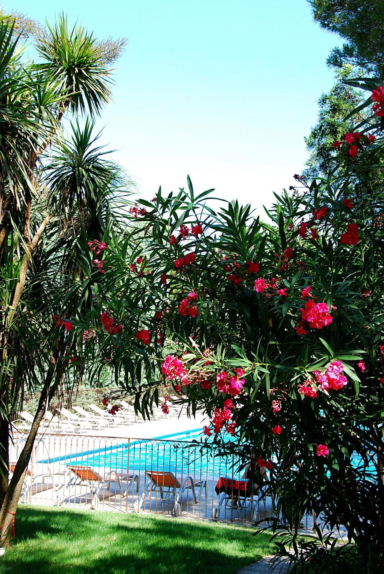 Hotel Les Mazets Des Roches Tarascon Εξωτερικό φωτογραφία